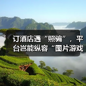 订酒店遇“照骗”,平台岂能纵容“图片游戏”(图4) 订酒店遇“照骗”,平台岂能纵容“图片游戏”(图4)