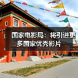 国家电影局:将引进更多国家优秀影片(图2) 国家电影局:将引进更多国家优秀影片(图2)
