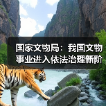 国家文物局:我国文物事业进入依法治理新阶段(图4) 国家文物局:我国文物事业进入依法治理新阶段(图4)