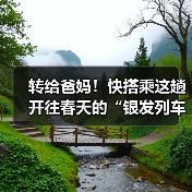转给爸妈!快搭乘这趟开往春天的“银发列车”(图4) 转给爸妈!快搭乘这趟开往春天的“银发列车”(图4)