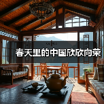 春天里的中国欣欣向荣(图2) 春天里的中国欣欣向荣(图2)