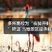 多所高校为“夜骑开封”降温 当地景区迎承载极限(图4) 多所高校为“夜骑开封”降温 当地景区迎承载极限(图4)