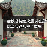 赏秋游持续火爆 外出游玩当心这几种“毒虫”(图4) 赏秋游持续火爆 外出游玩当心这几种“毒虫”(图4)