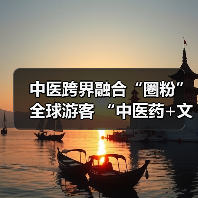 中医跨界融合“圈粉”全球游客 “中医药+文旅”解锁入境游消费新场景(图4)