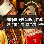 良种良技良法助力来年好“丰”景 特色农业开启乡村振兴“新引擎”(图4)
