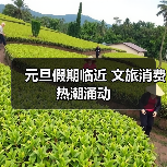 元旦假期临近 文旅消费热潮涌动