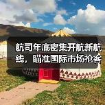 航司年底密集开航新航线，瞄准国际市场抢客流(图4)