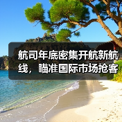 航司年底密集开航新航线，瞄准国际市场抢客流(图3)