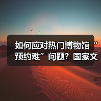 如何应对热门博物馆“预约难”问题？国家文物局作出回应 - 辰飞雨光踪暖行旅游资讯