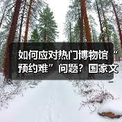 如何应对热门博物馆“预约难”问题？国家文物局作出回应(图4)