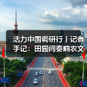 活力中国调研行丨记者手记：田园间奏响农文旅交响曲 - 辰飞雨光踪暖行旅游资讯