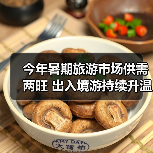 今年暑期旅游市场供需两旺 出入境游持续升温 - 辰飞雨光踪暖行旅游资讯