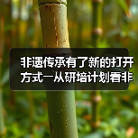 非遗传承有了新的打开方式――从研培计划看非遗传承的中国实践 - 辰飞雨光踪暖行旅游资讯