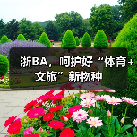浙BA，呵护好“体育+文旅”新物种 - 辰飞雨光踪暖行旅游资讯