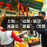 上海：“动漫+旅游” 流量变“留量”（文旅新象） - 辰飞雨光踪暖行旅游资讯