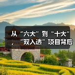 从“六大”到“十大”,“双入选”项目背后的文化密码(图3) 从“六大”到“十大”,“双入选”项目背后的文化密码(图3)