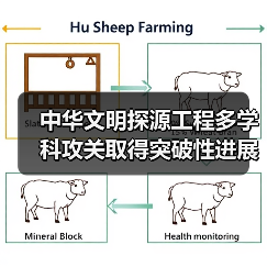 中华文明探源工程多学科攻关取得突破性进展(图4)