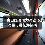 春日经济活力涌动 文旅消费与赏花游热潮 - 辰飞雨光踪暖行旅游资讯
