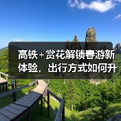高铁+赏花解锁春游新体验，出行方式如何升级？(图3)
