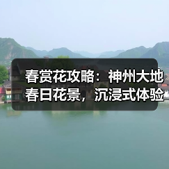 春赏花攻略:神州大地春日花景,沉浸式体验与农旅新玩法(图4) 春赏花攻略:神州大地春日花景,沉浸式体验与农旅新玩法(图4)