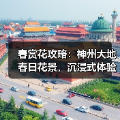 春赏花攻略：神州大地春日花景，沉浸式体验与农旅新玩法 - 辰飞雨光踪暖行旅游资讯