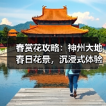 春赏花攻略:神州大地春日花景,沉浸式体验与农旅新玩法(图3) 春赏花攻略:神州大地春日花景,沉浸式体验与农旅新玩法(图3)