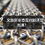 文旅新业态是创新还是泡沫？(图3)