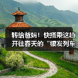转给爸妈！快搭乘这趟开往春天的“银发列车”(图3)