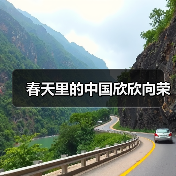 春天里的中国欣欣向荣(图3)