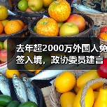 去年超2000万外国人免签入境，政协委员建言如何疏解入境游“堵点”(图2)