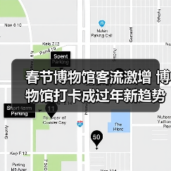 春节博物馆客流激增 博物馆打卡成过年新趋势(图4)