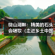 微山湖畔:精美的石头会唱歌(走进乡土中国)(图2) 微山湖畔:精美的石头会唱歌(走进乡土中国)(图2)