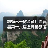 胡杨已一树金黄!泽普县第十六届金湖杨旅游文化季邀您来品(图3) 胡杨已一树金黄!泽普县第十六届金湖杨旅游文化季邀您来品(图3)