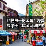 胡杨已一树金黄！泽普县第十六届金湖杨旅游