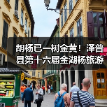 胡杨已一树金黄!泽普县第十六届金湖杨旅游文化季邀您来品(图4) 胡杨已一树金黄!泽普县第十六届金湖杨旅游文化季邀您来品(图4)