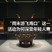 “周末游飞海口”这一活动为何深受年轻人青睐?(图3) “周末游飞海口”这一活动为何深受年轻人青睐?(图3)