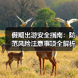 假期出游安全指南：防范风险注意事项全解析