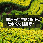 故宫百年守护如何开启数字文化新篇章?(图3) 故宫百年守护如何开启数字文化新篇章?(图3)