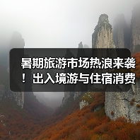 暑期旅游市场热浪来袭！出入境游与住宿消费