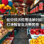 低空经济应用场景创新 打造智慧生活新图景(图3) 低空经济应用场景创新 打造智慧生活新图景(图3)