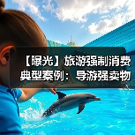 【曝光】旅游强制消费典型案例:导游强卖物品、擅自加价被严惩(图3) 【曝光】旅游强制消费典型案例:导游强卖物品、擅自加价被严惩(图3)