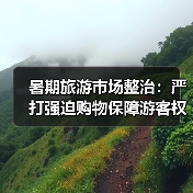 暑期旅游市场整治:严打强迫购物保障游客权益(图4) 暑期旅游市场整治:严打强迫购物保障游客权益(图4)
