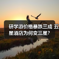 研学游价格暴跌三成 五星酒店为何变三星?(图2) 研学游价格暴跌三成 五星酒店为何变三星?(图2)