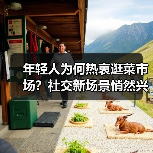 年轻人为何热衷逛菜市场？社交新场景悄然兴