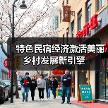 特色民宿经济激活美丽乡村发展新引擎(图4)