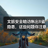 文旅安全暗访揪出8省隐患，这些问题你注意了吗？(图2)