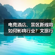 电竞酒店、景区新规将如何影响行业？文旅行业标准发布(图3)