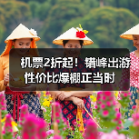 机票2折起！错峰出游性价比爆棚正当时(图2)