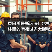 夏日避暑新玩法！水杉林里的清凉世界大揭秘(图4)