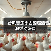 台风音乐季古韵邂逅音浪燃动盛夏(图1)